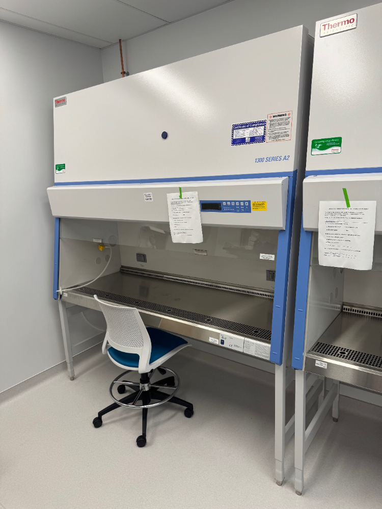 Image of Thermo 1300 Series A2 6' BioSafety Cabinet